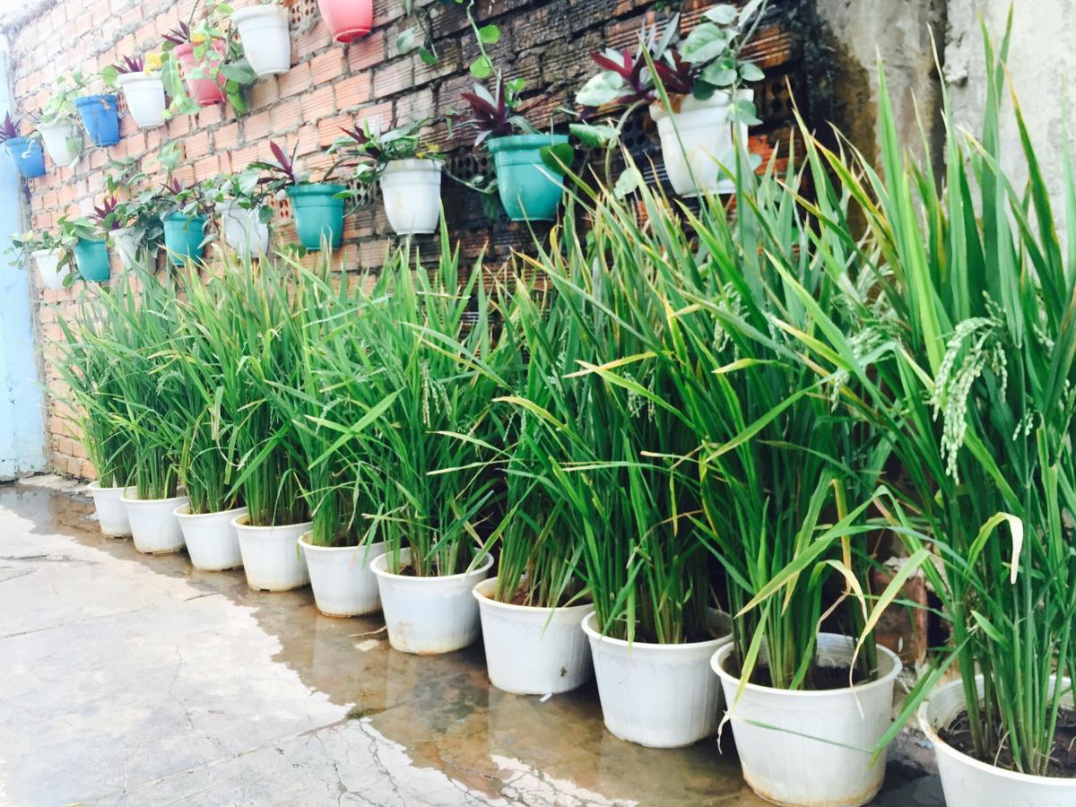 Hotel An Nhien Buôn Ma Thuột Esterno foto